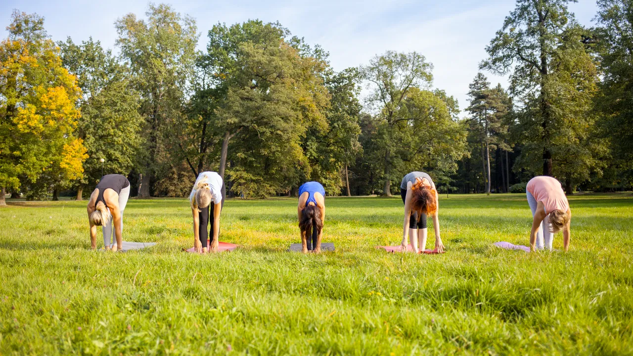 elephant walking exercise