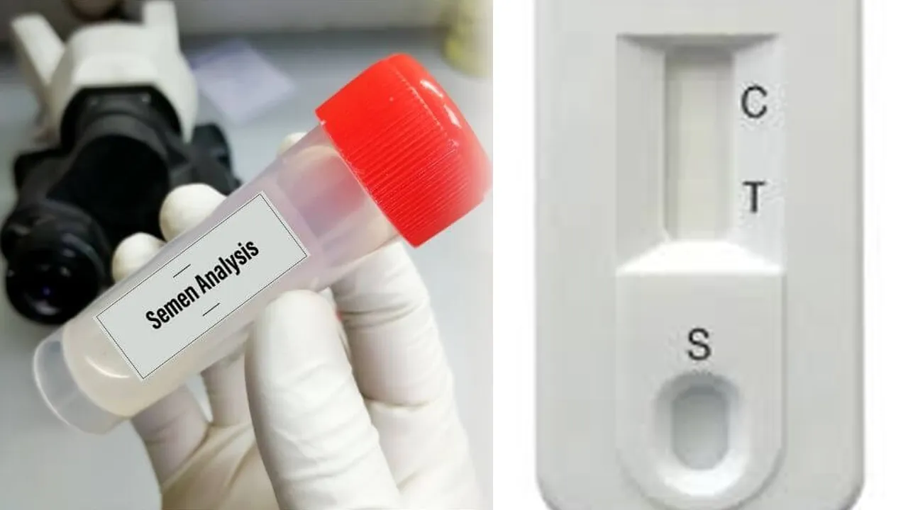 sperm-test