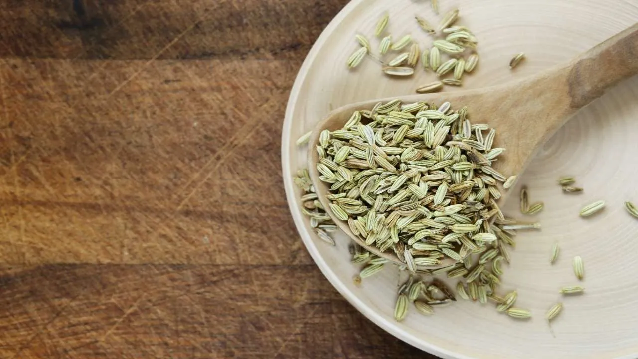 fennel