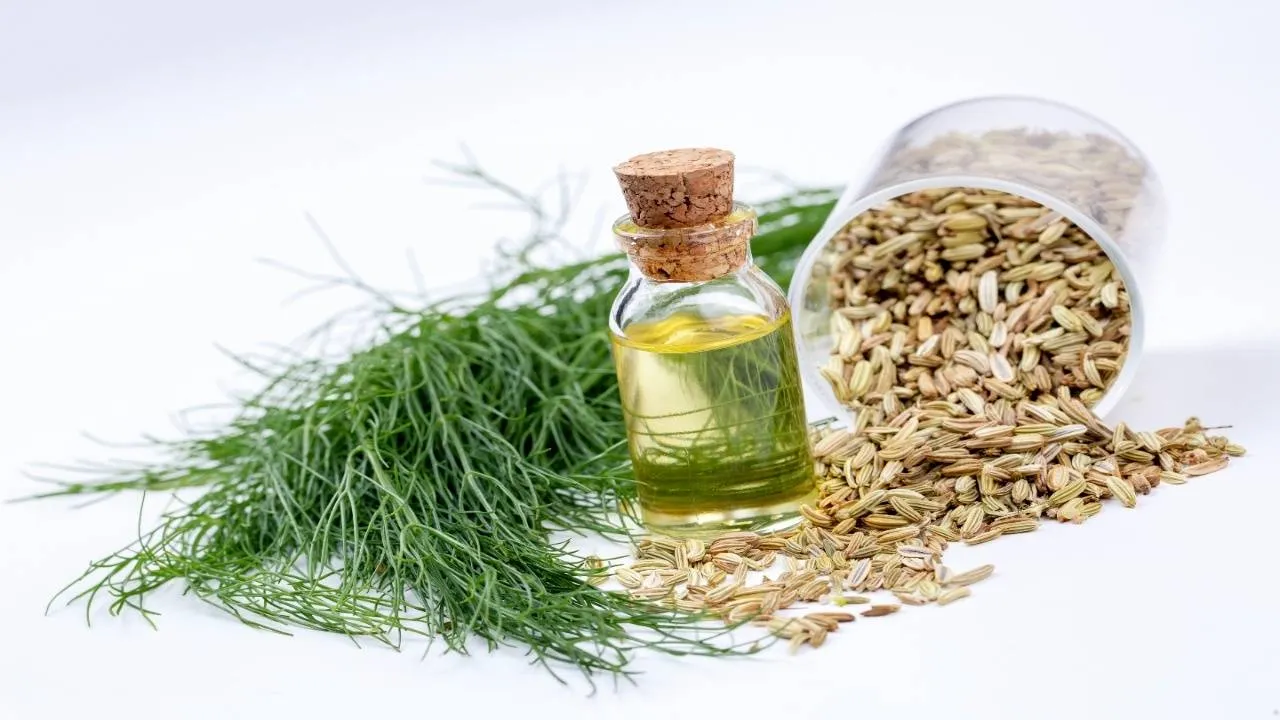 fennel