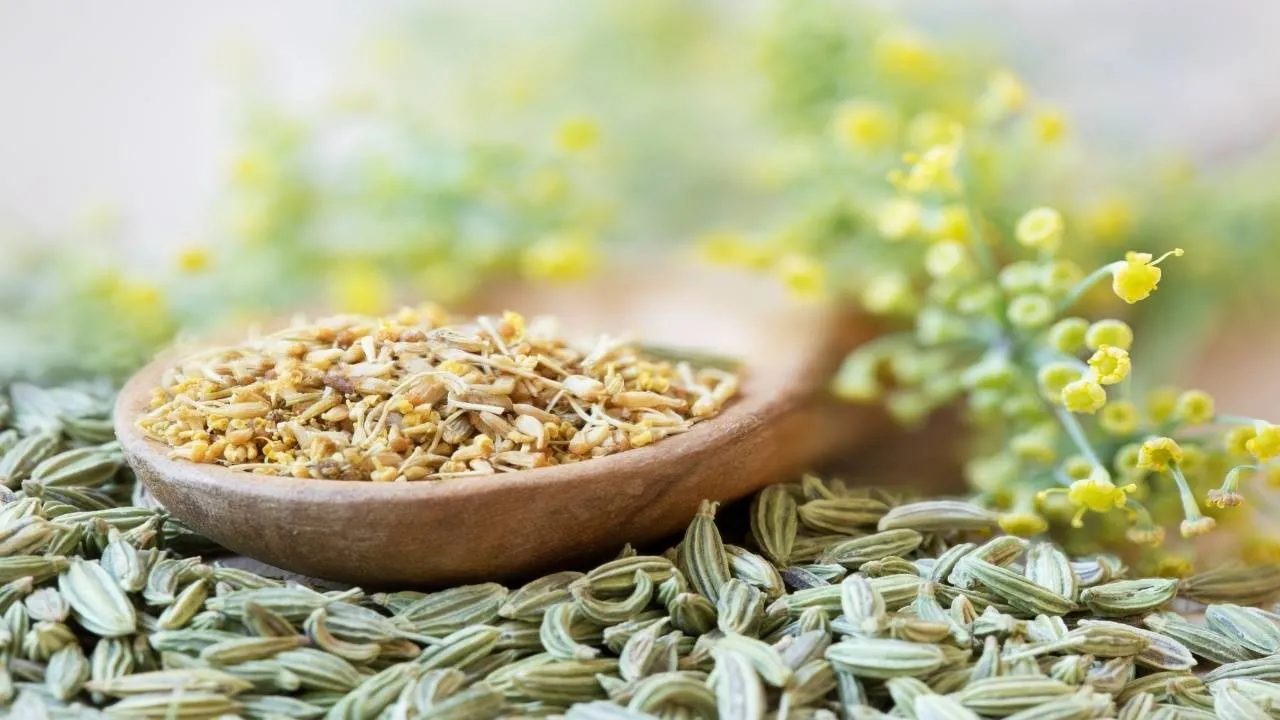 fennel