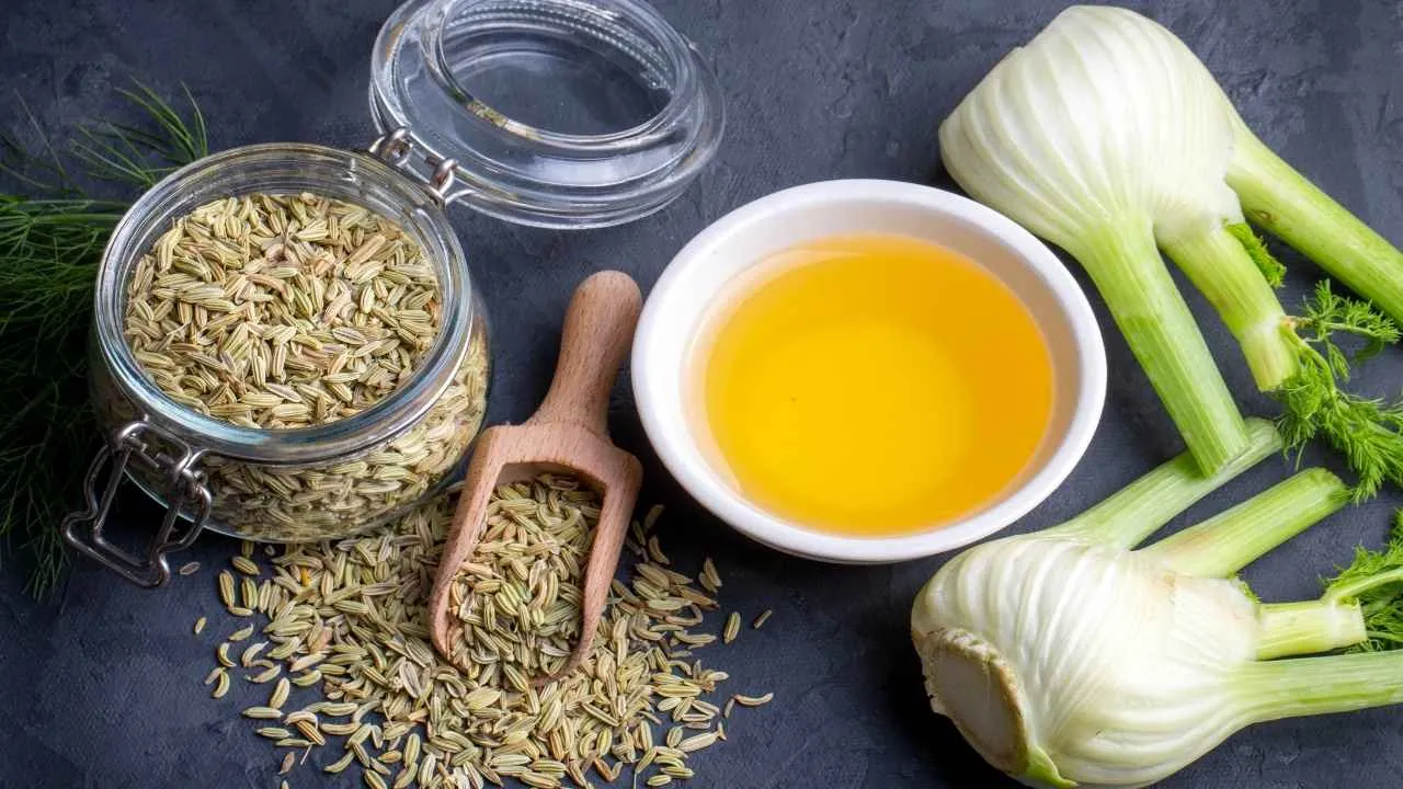 fennel