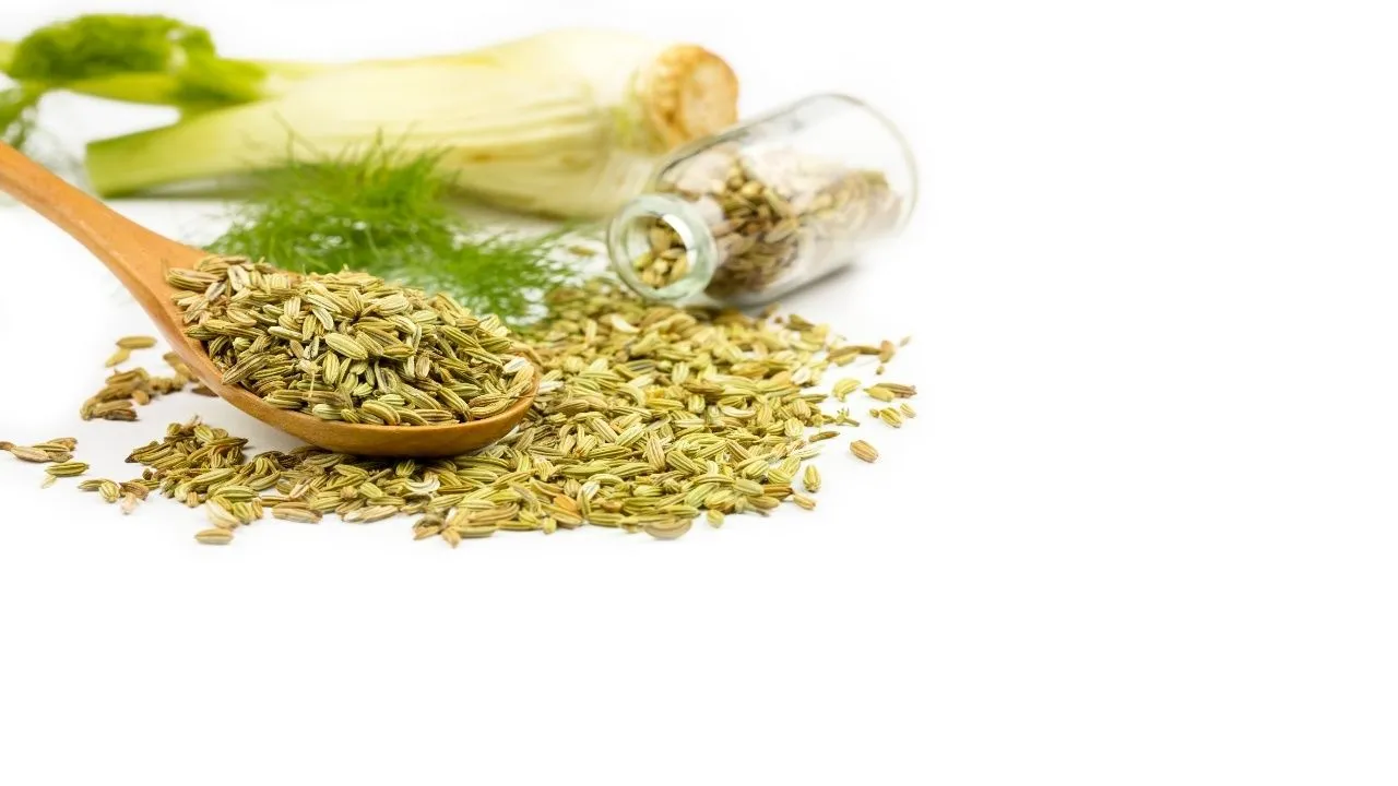 fennel