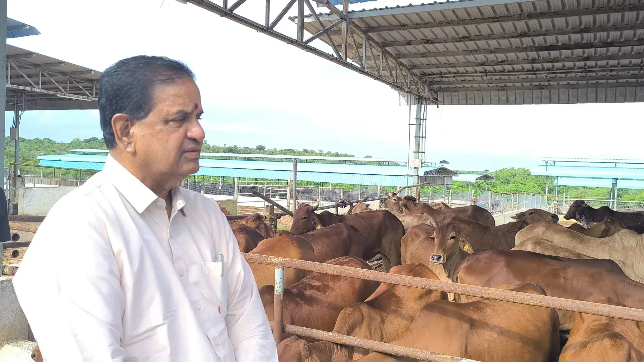 TTD Goshala BR Naidu