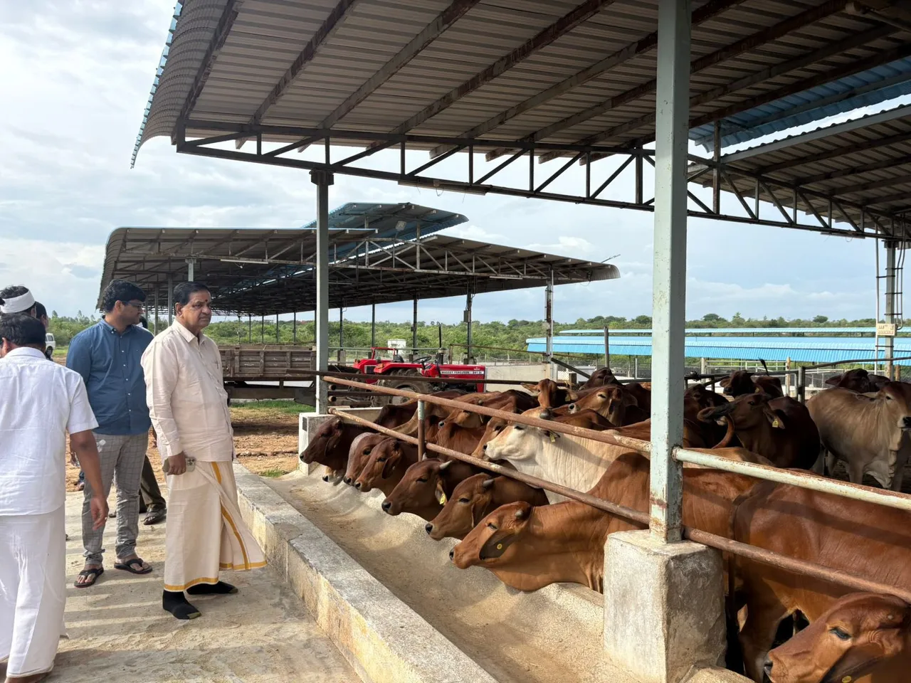టీటీడీ గోశాలలో బీఆర్ నాయుడు తనిఖీలు-PHOTOS