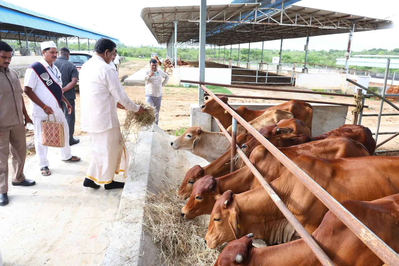 టీటీడీ గోశాలలో బీఆర్ నాయుడు తనిఖీలు-PHOTOS