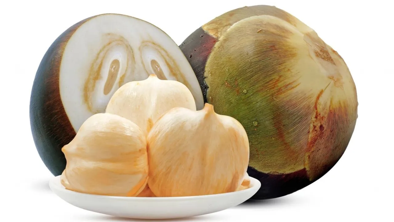 palmyra palm fruit