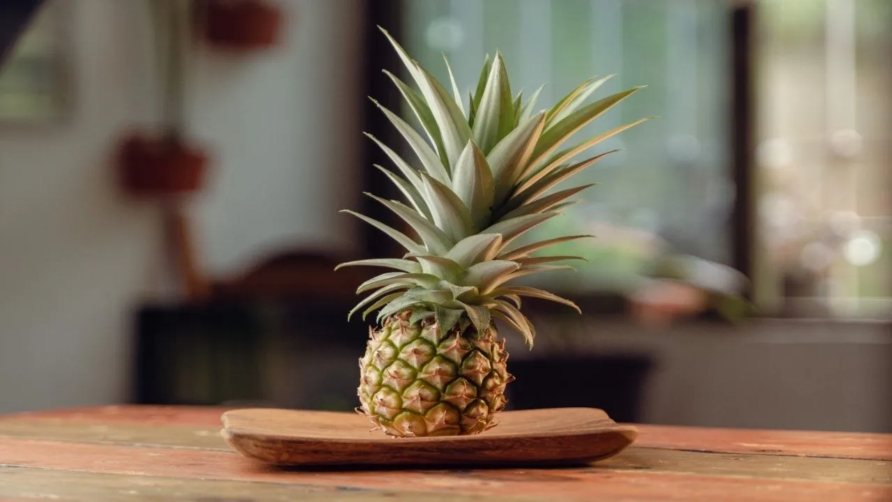 Pineapple