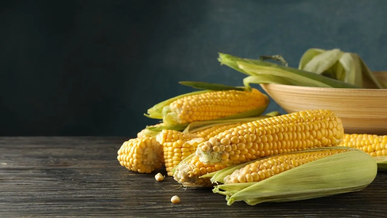 Corn