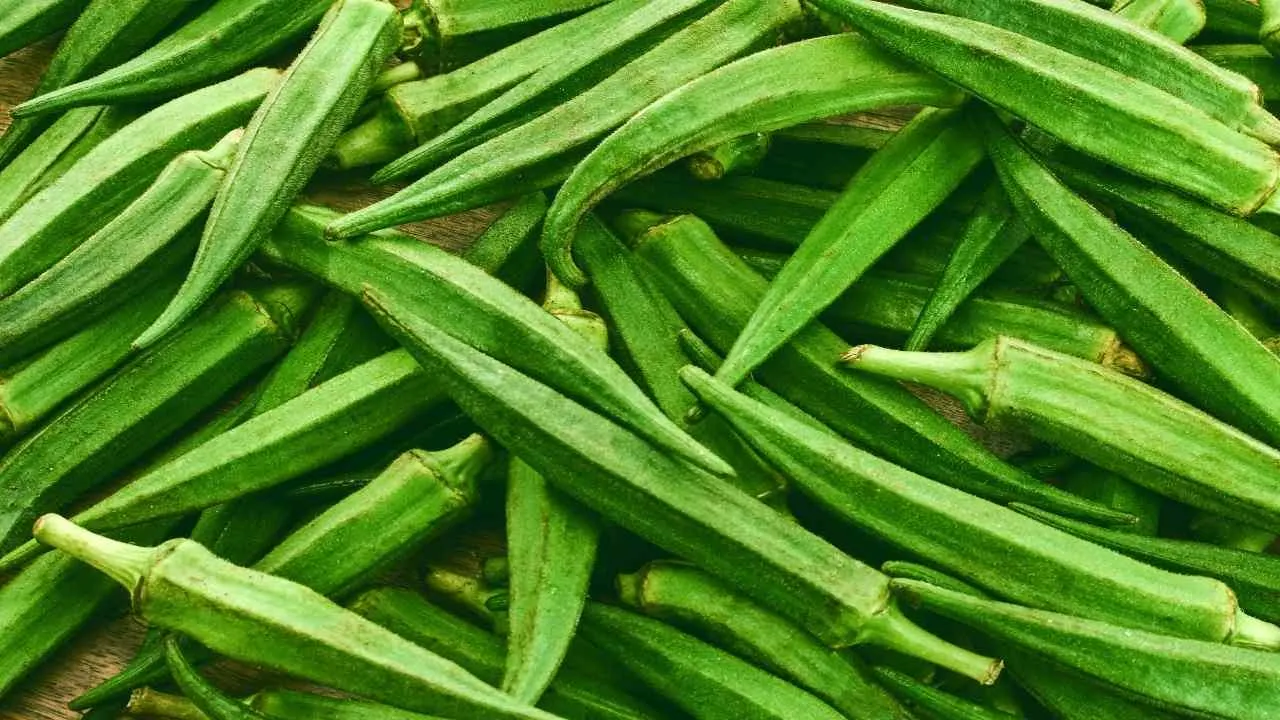 Okra