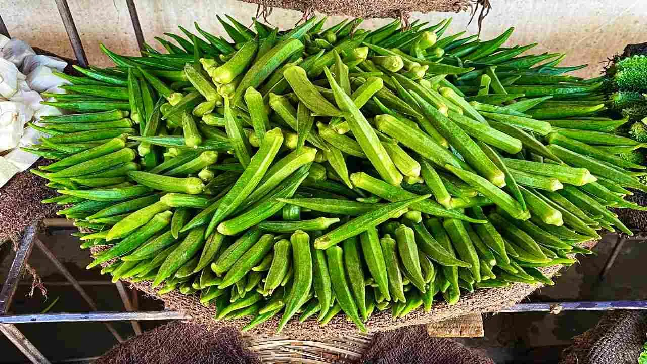 Okra