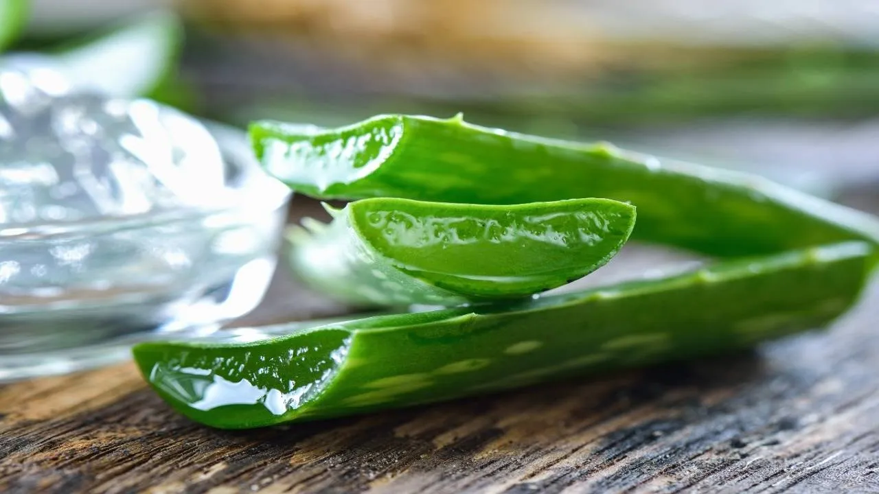 Aloevera juice