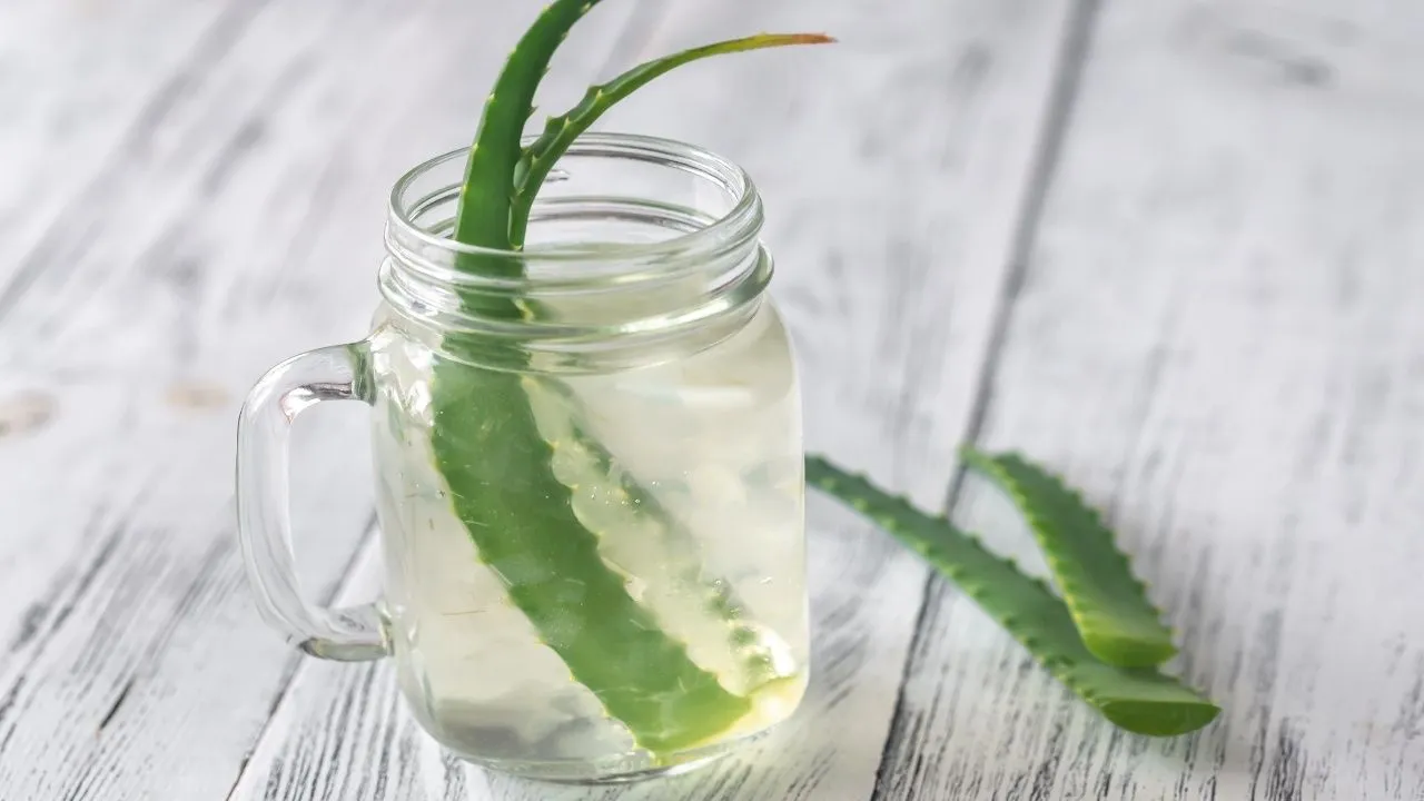 Aloevera juice