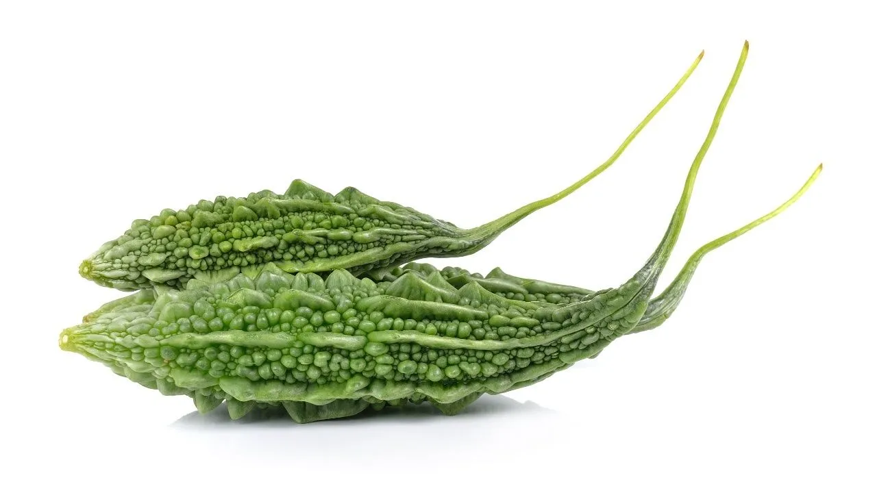 Bitter Gourd