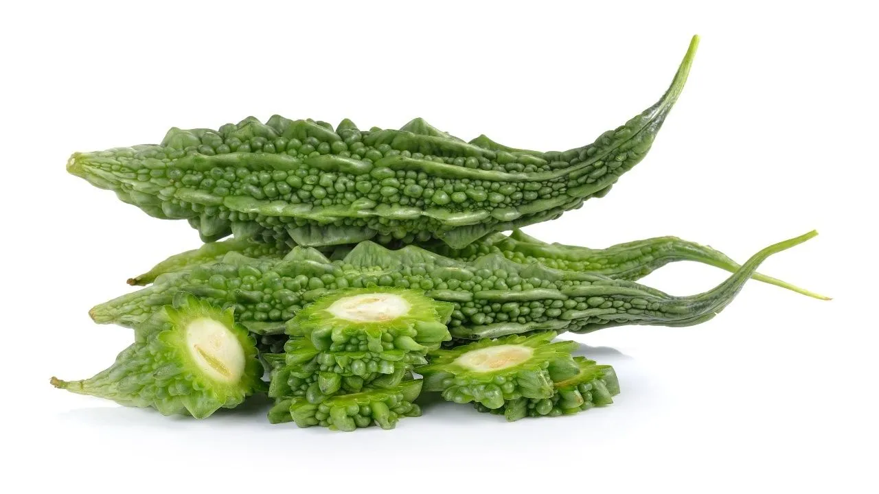 Bitter Gourd