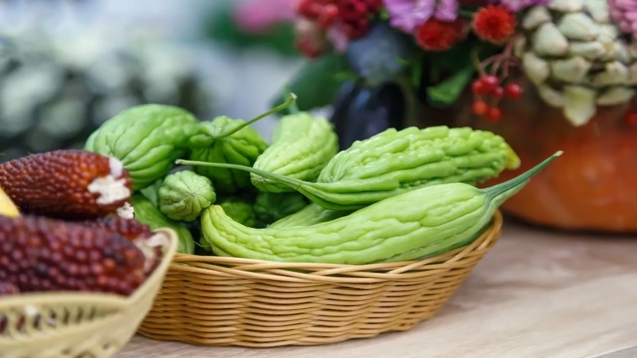 Bitter Gourd