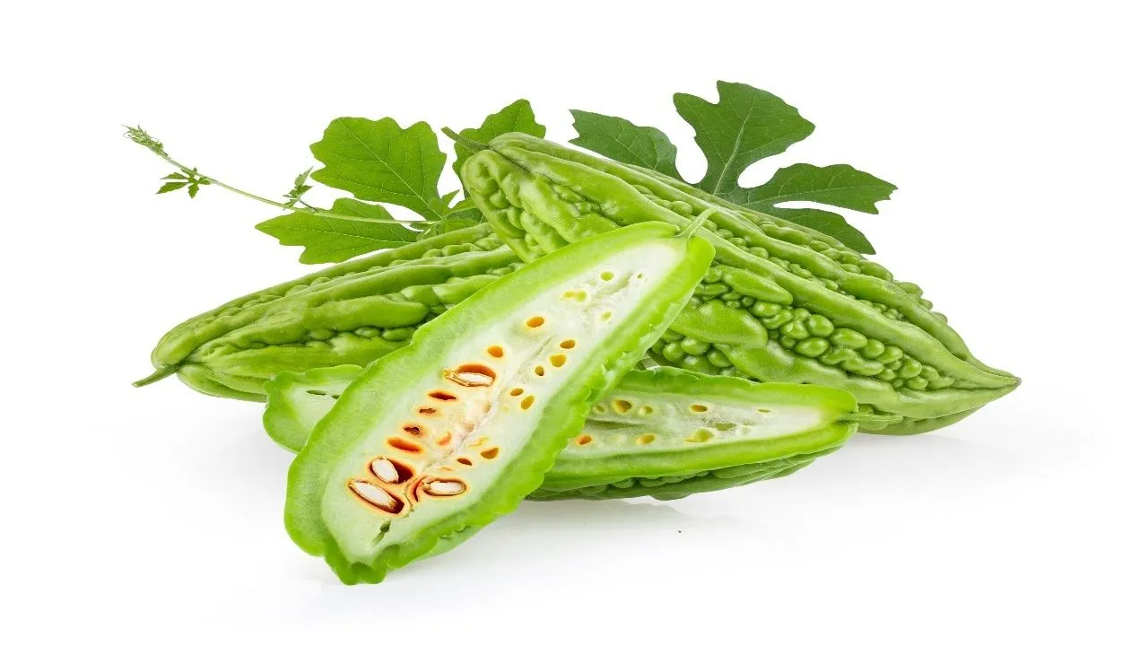 Bitter Gourd