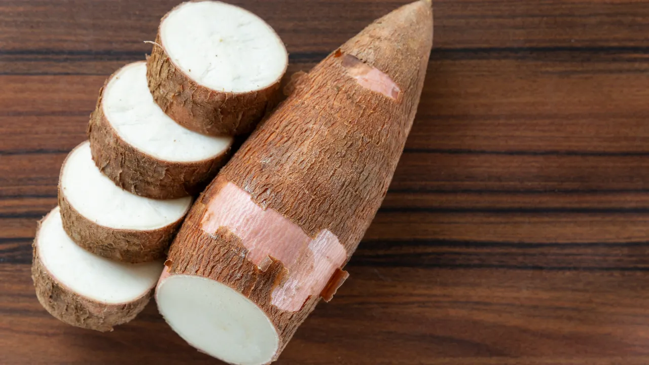 Elephant Foot Yam