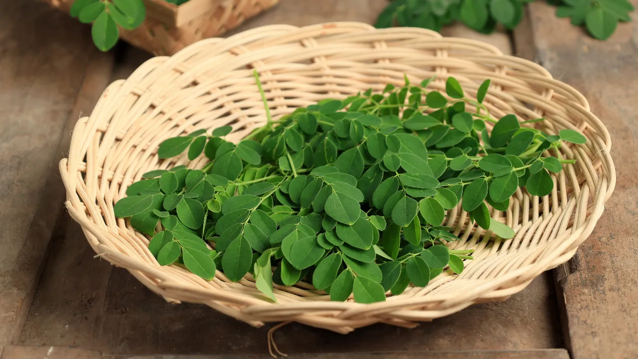 Moringa Leaves water