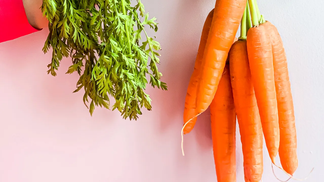 Carrots