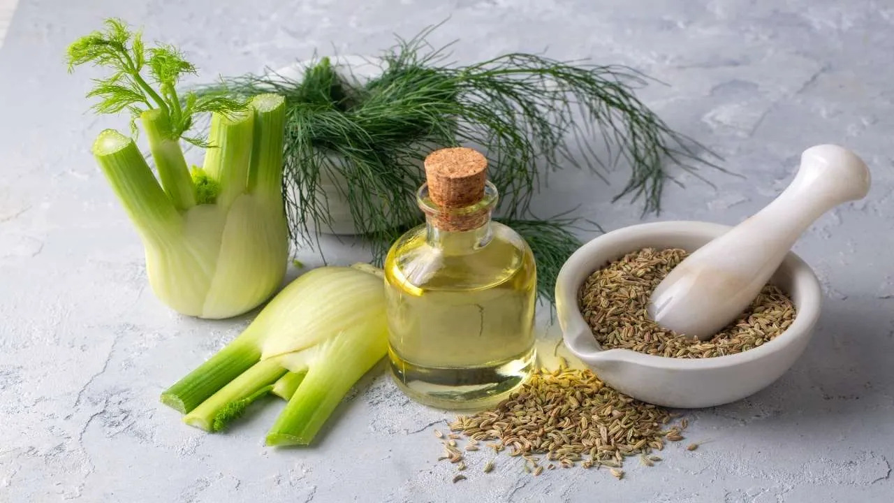 Fennel Water