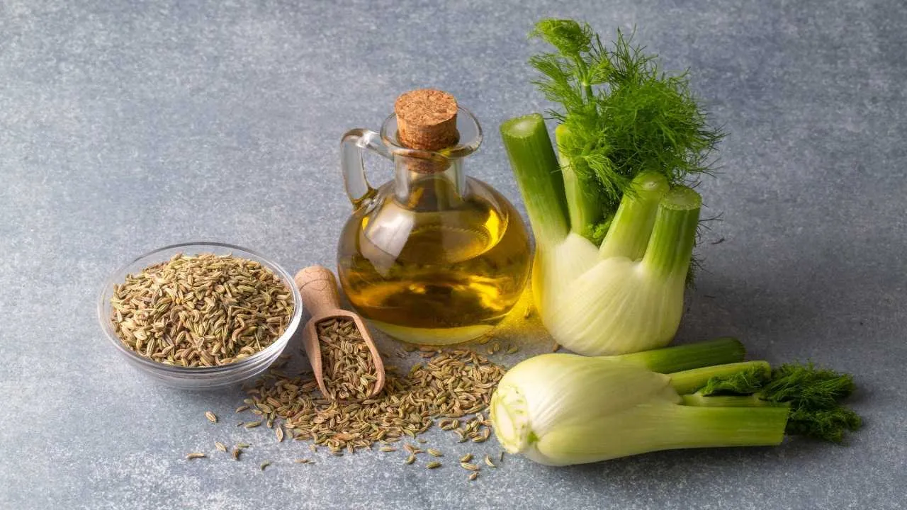 Fennel Water