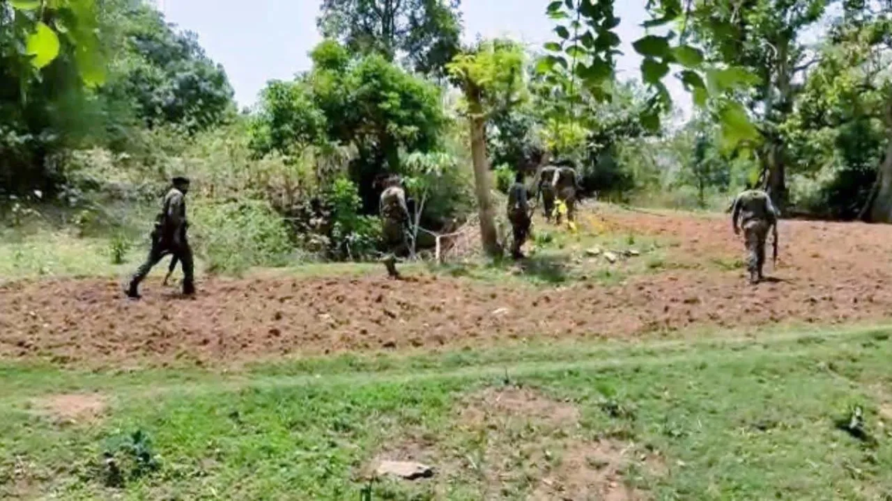 maosit killed three relatives of surreded cadres in Chattisgarh