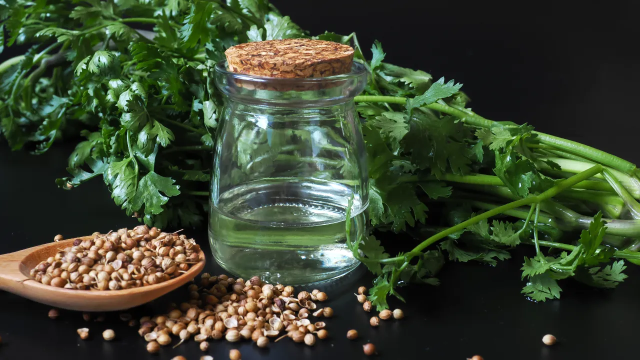 Coriander Seed Water