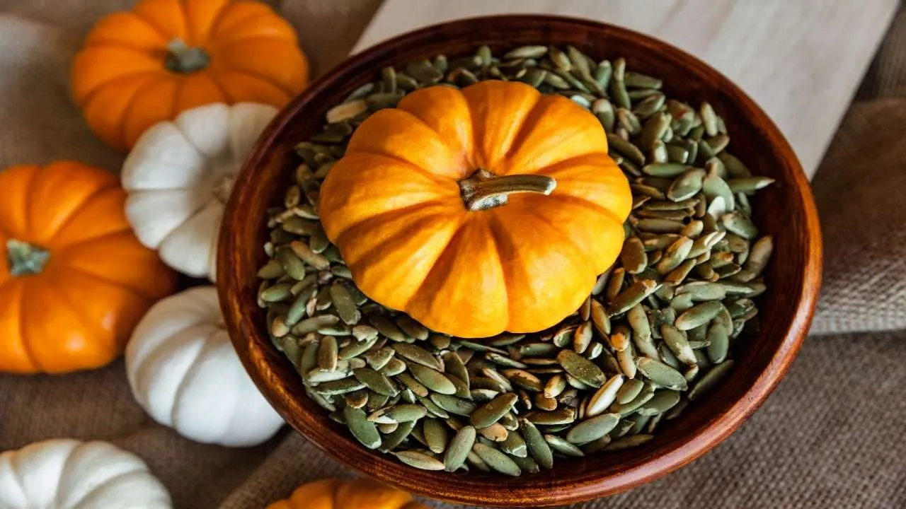 pumpkin seed