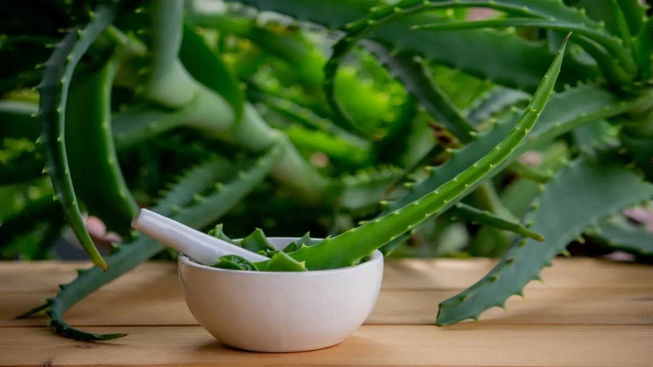 Aloe Vera Juice