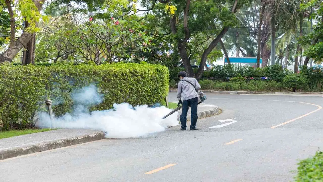 Dengue