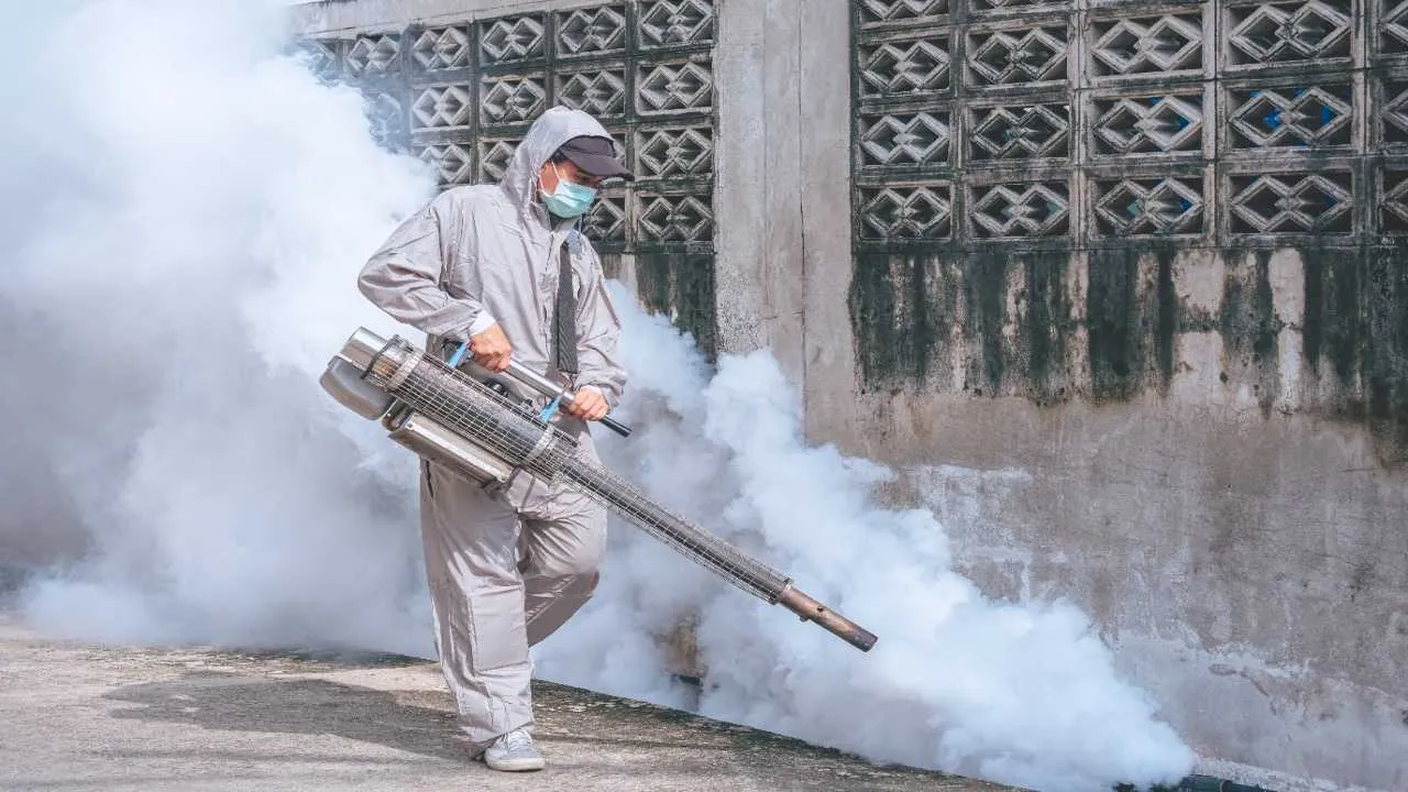 Dengue