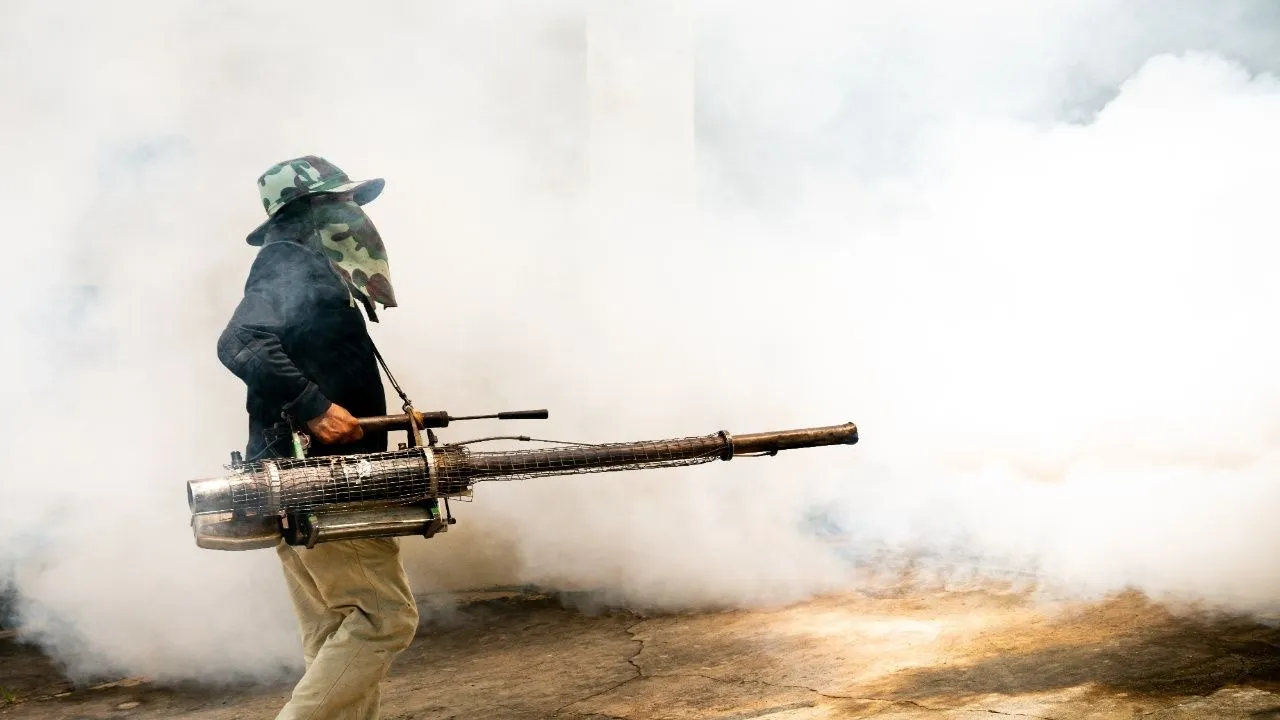 Dengue