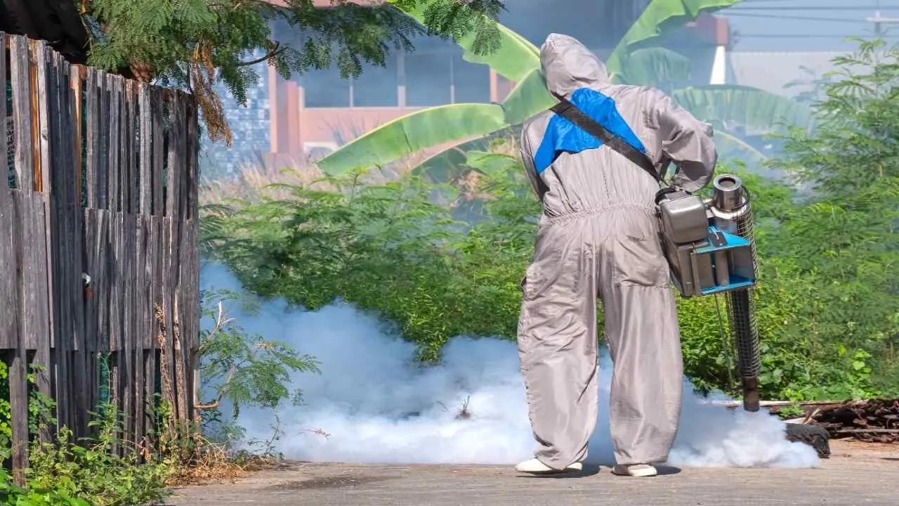 Dengue