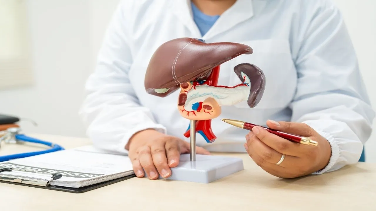 liver3