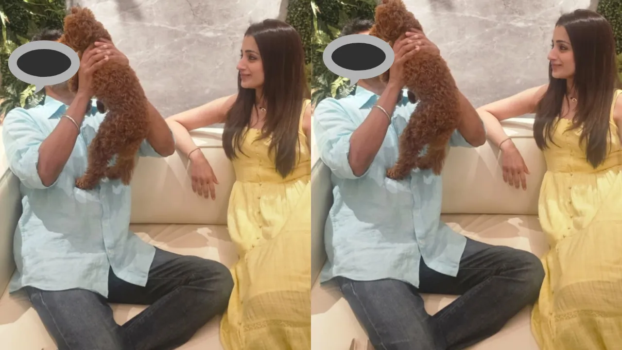 trisha post on vijay birthday gone viral