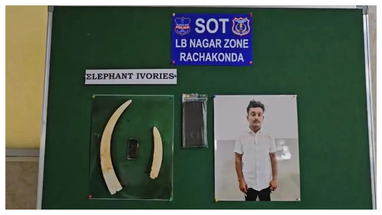 Smuggling of elephant ivory