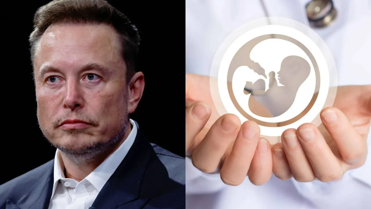Elon Musk warns of population collapse due to falling birth rates