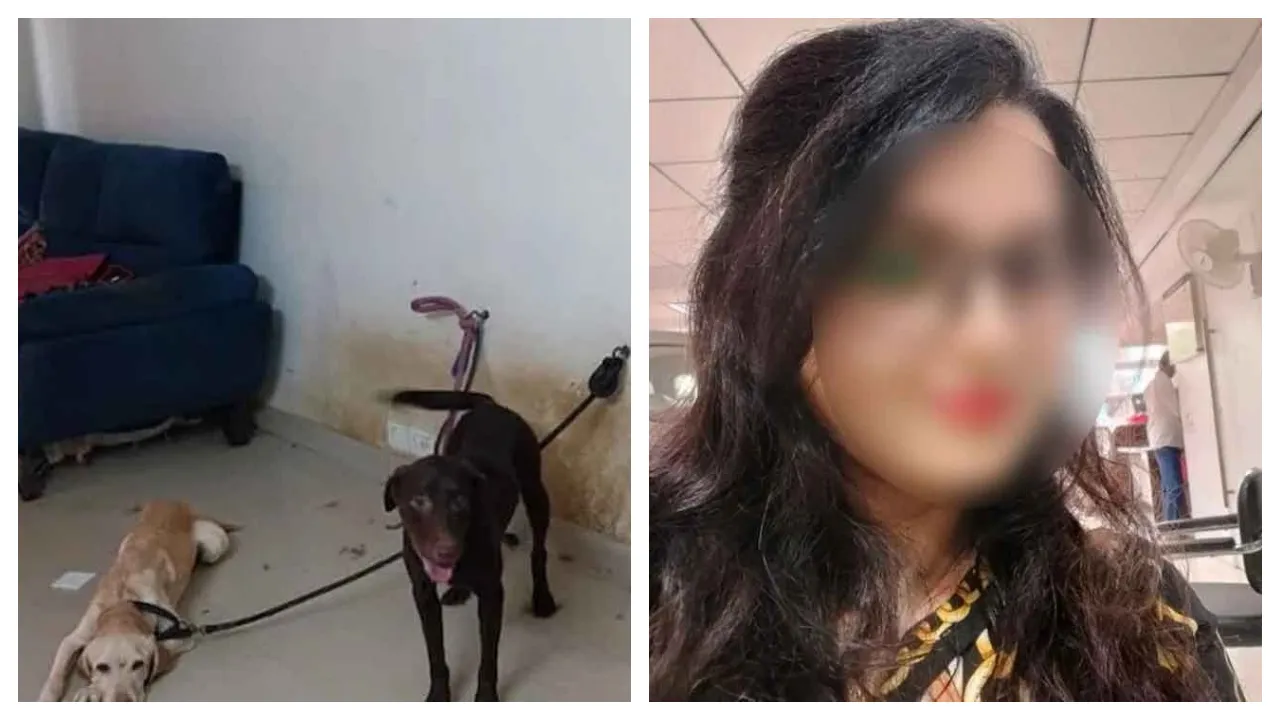 Occult rituals with dog blood