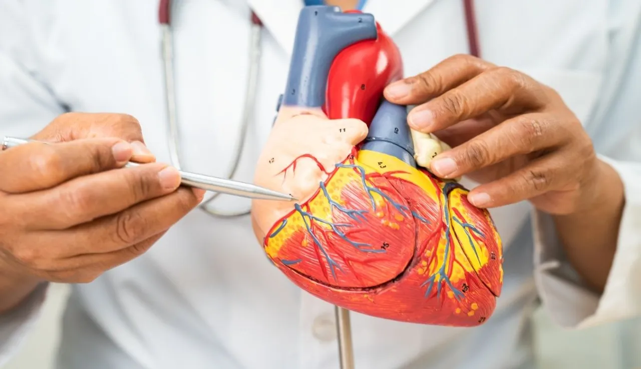 Heart Health