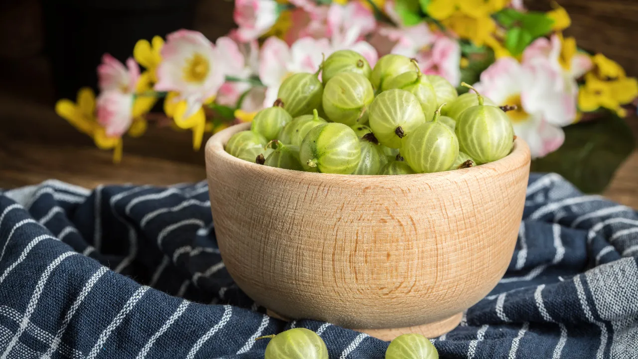 Bhoomi Amla Fruit