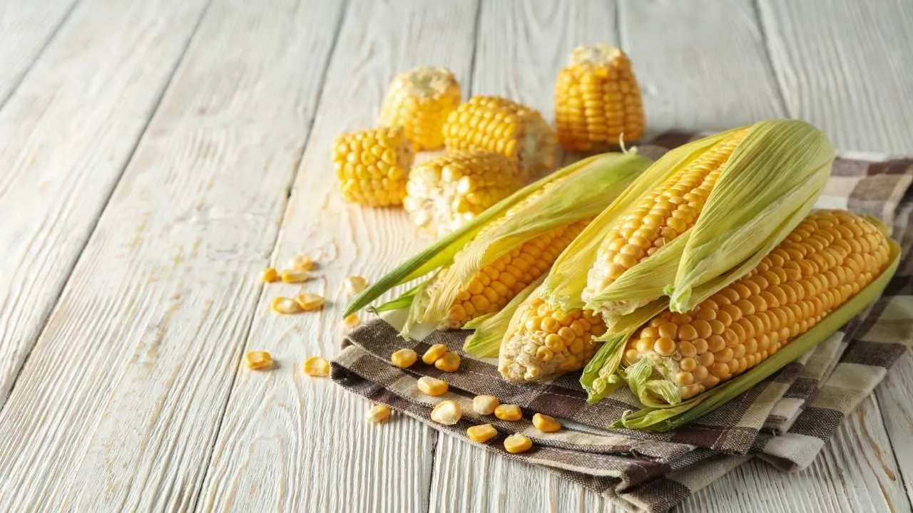 Corn