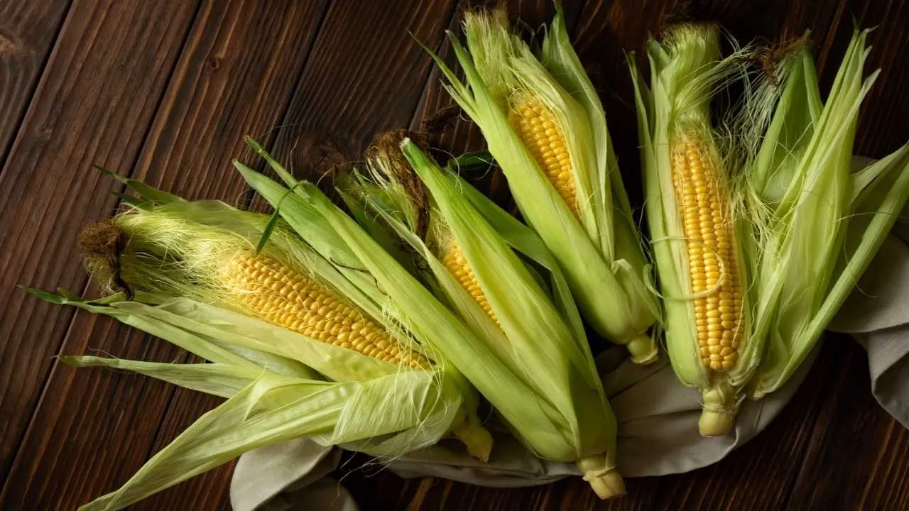 Corn
