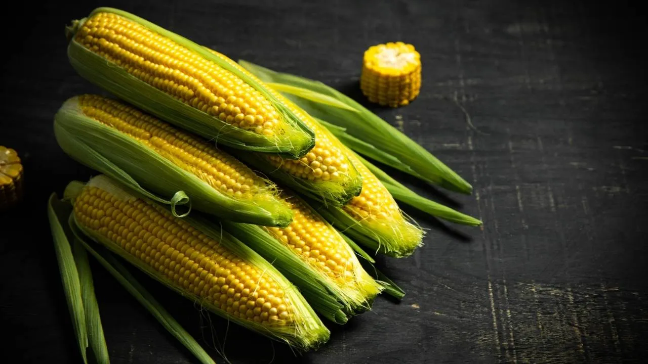 Corn