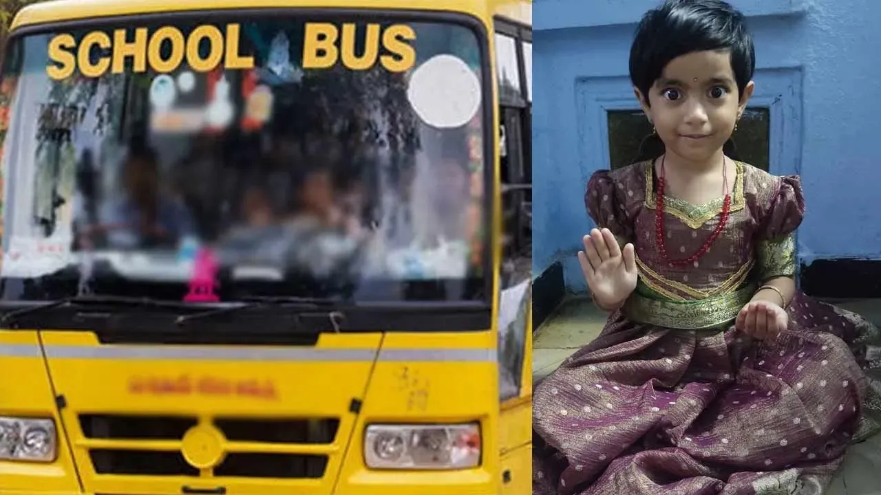 school-bus