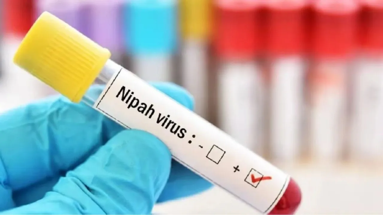 Three Kerala districts on alert after Nipah cases