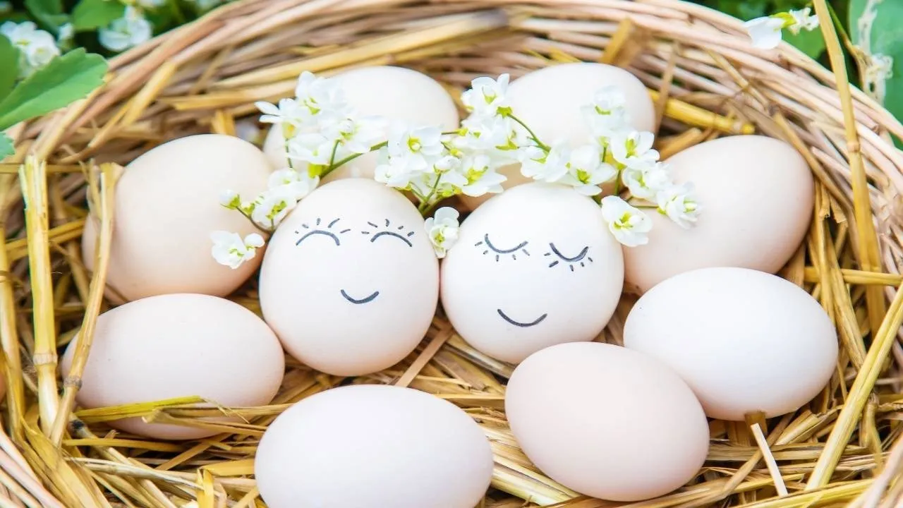 Boiled eggs