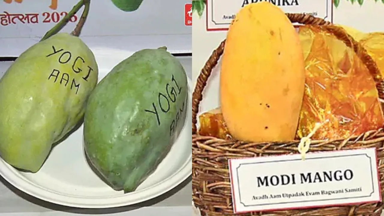 Modi, Yogi Magoes Appears in Mago Festival in Uttar Pradesh