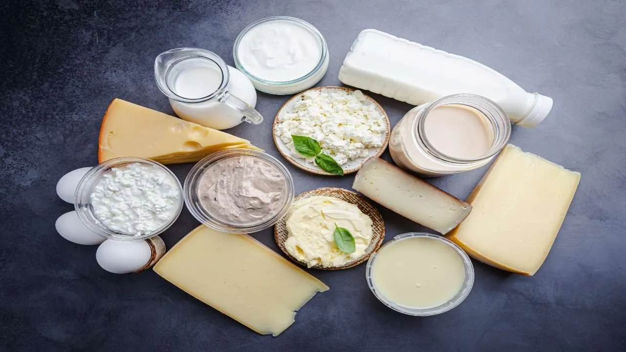 Dairy products