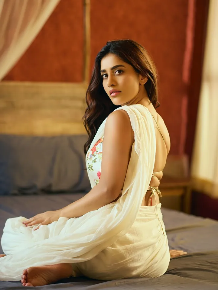 Nabha Natesh